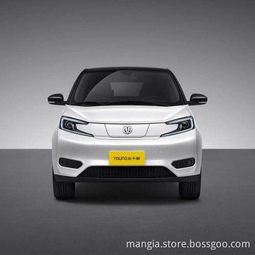 New energy electric vehicle YOUNGGUANGXIAOXIN adult driving 408KM high quality mini car for sale